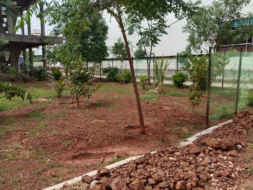 Green cover planted within the site boundary, warehouse beyond